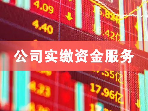 双辽公司实缴资金服务